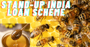 Stand-Up India Loan Scheme