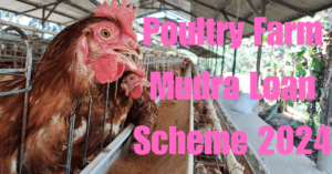 Poultry Farm Mudra Loan Scheme 2024