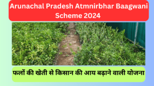 Arunachal Pradesh Atmnirbhar Baagwani Scheme 2024