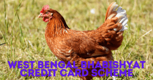 West Bengal Bhabishyat Credit Card Scheme